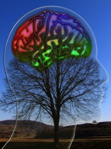 thematiques-sophrologie-holistique-art-therapie-reiki